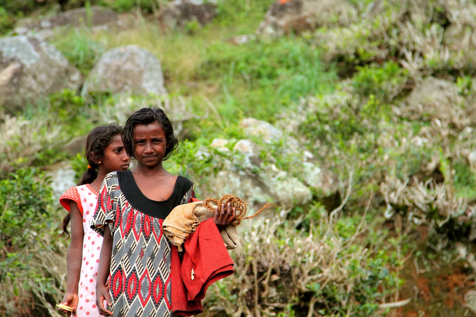 Hike to the refreshing Bambarakanda Falls