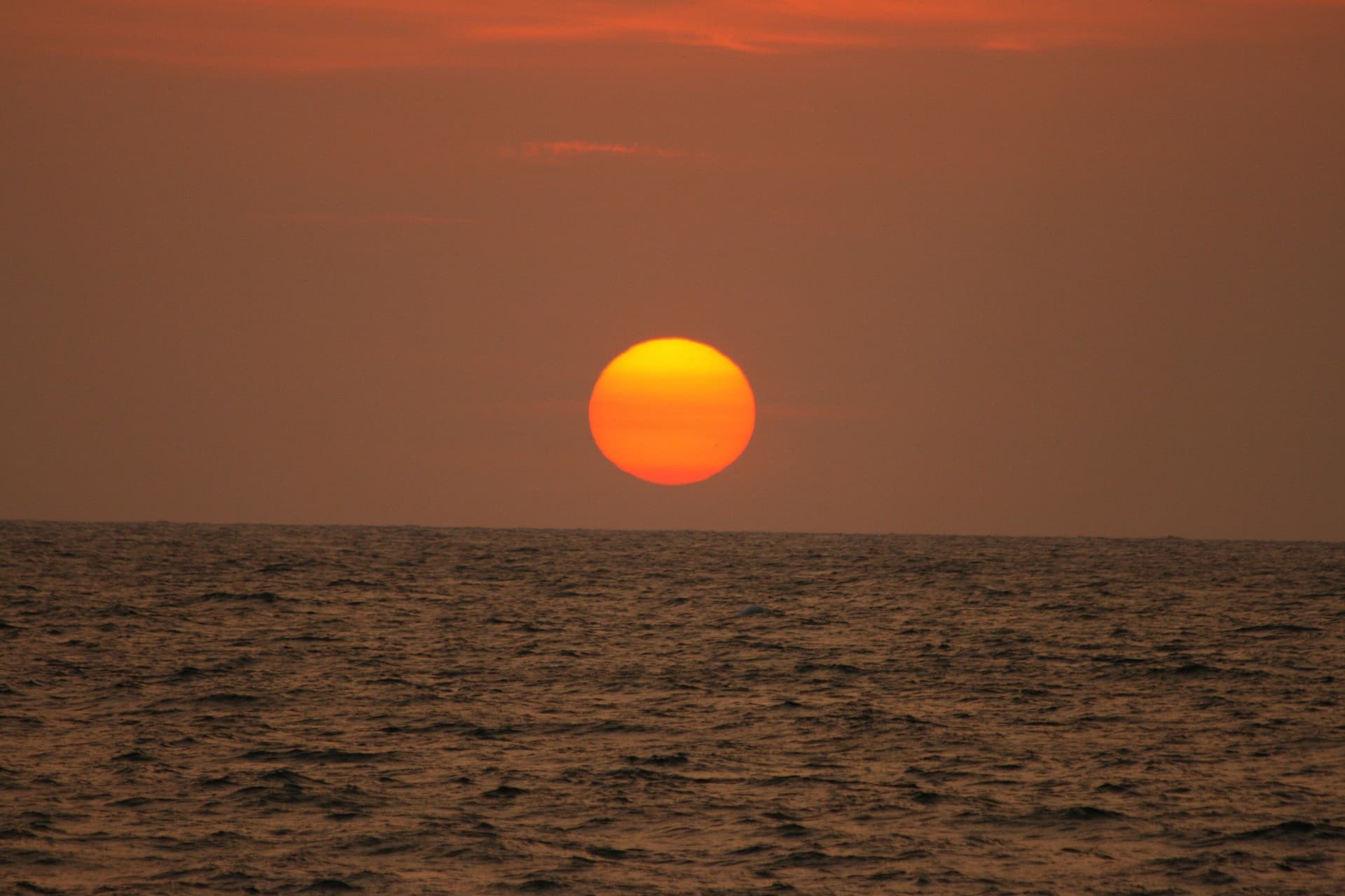 Transfer to the airport