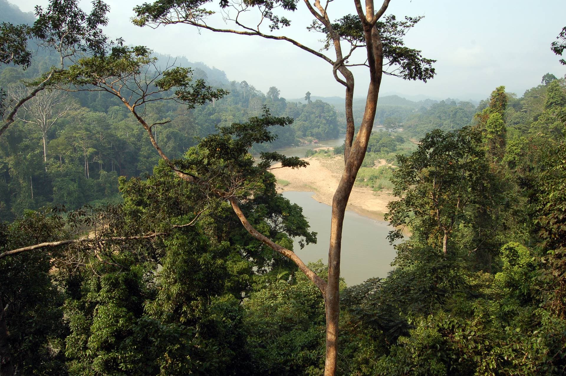 Taman Negara National Park
