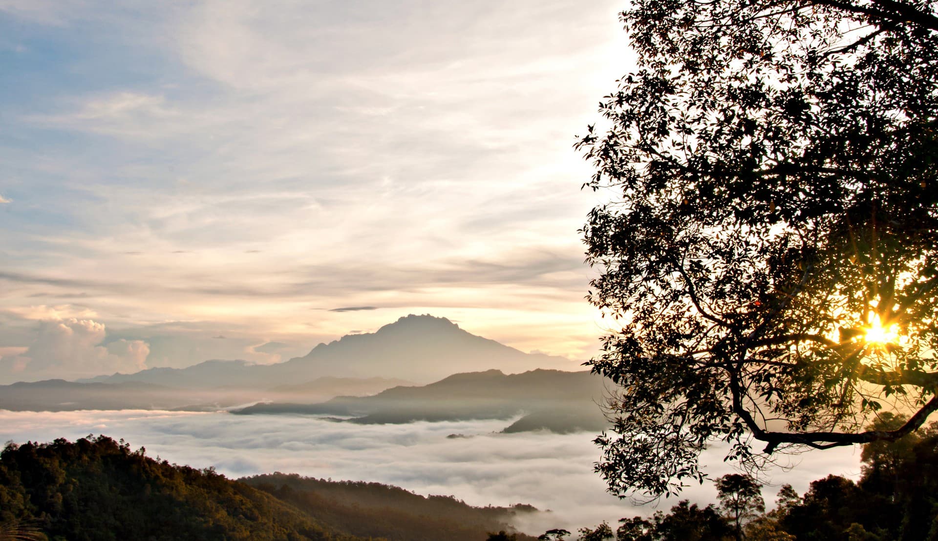 Family-friendly Malaysia highlights tour