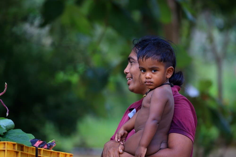 Tour local villages & Minneriya National Park