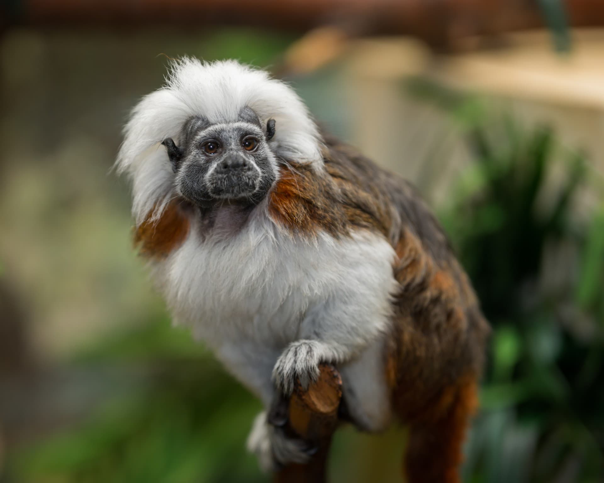 Tayrona National Park