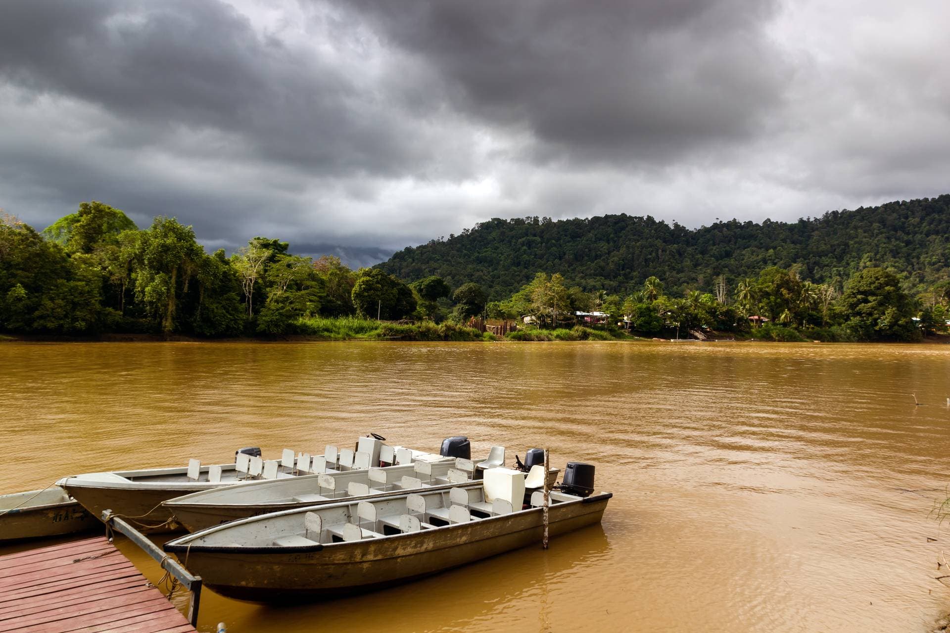 Kinabatangan River