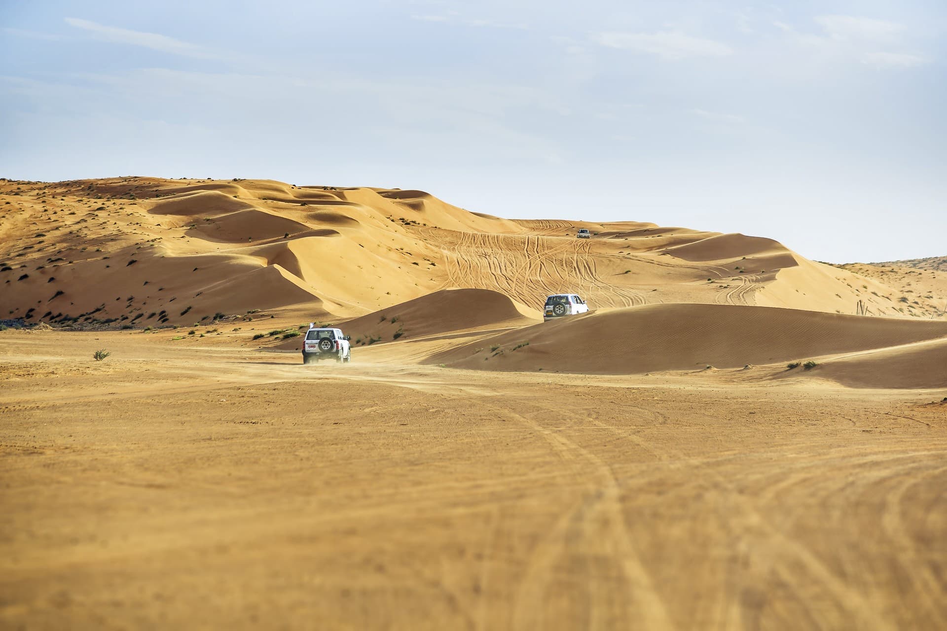 The Wahiba Sands - Ras Al Jinz