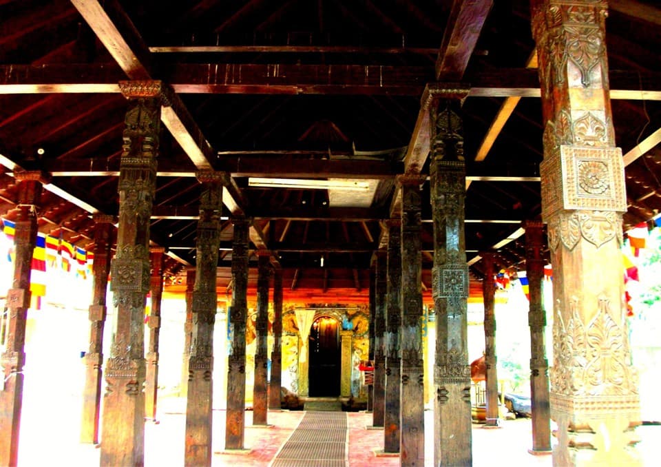 Immerse yourself in a world of art