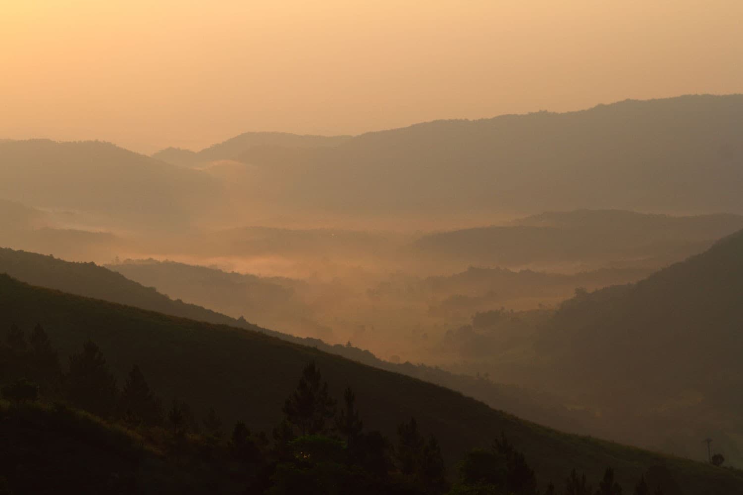 Into the Knuckles Mountains