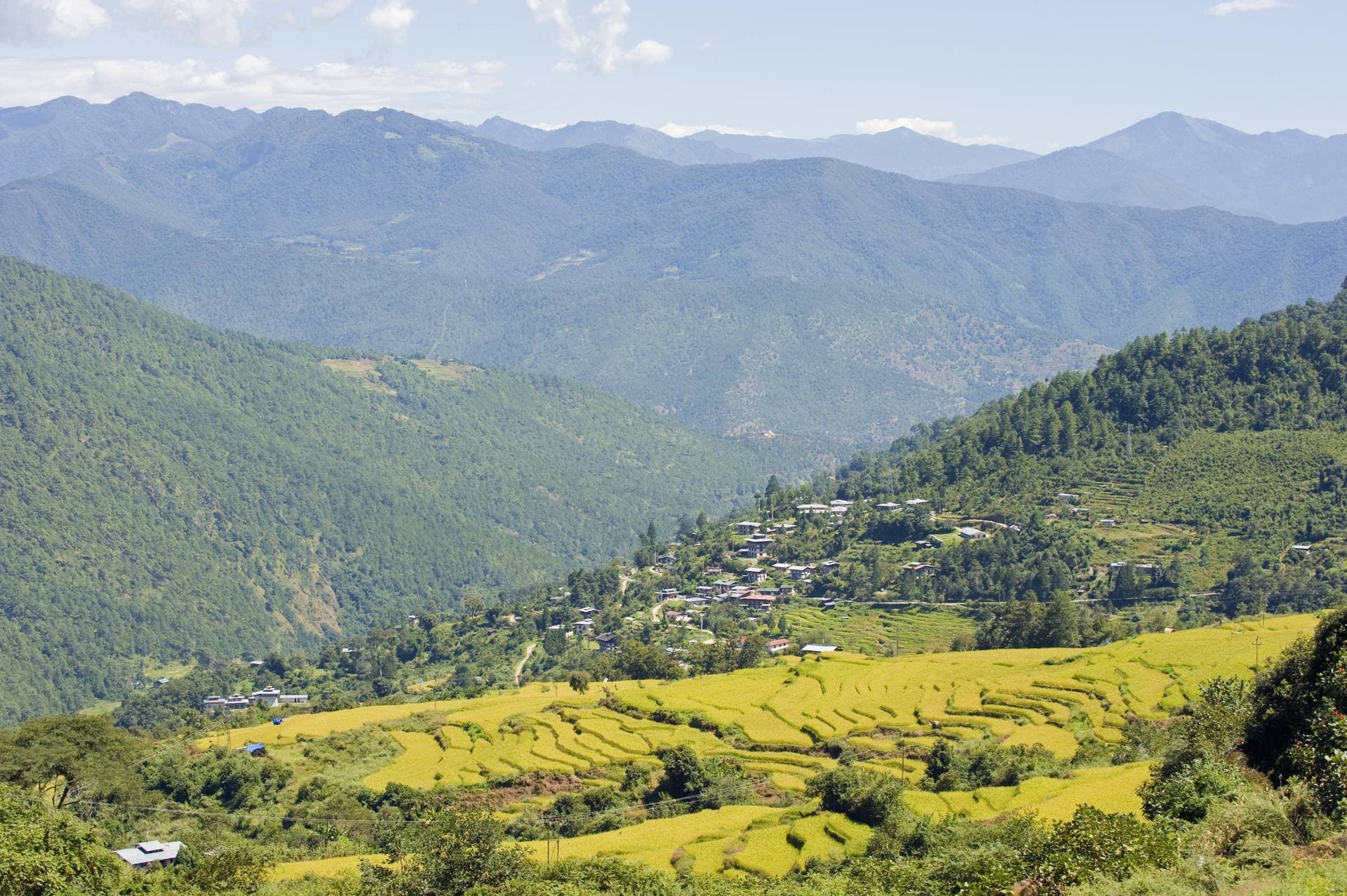 Jangchulakha campsite - Jigmelang Tsho campsite