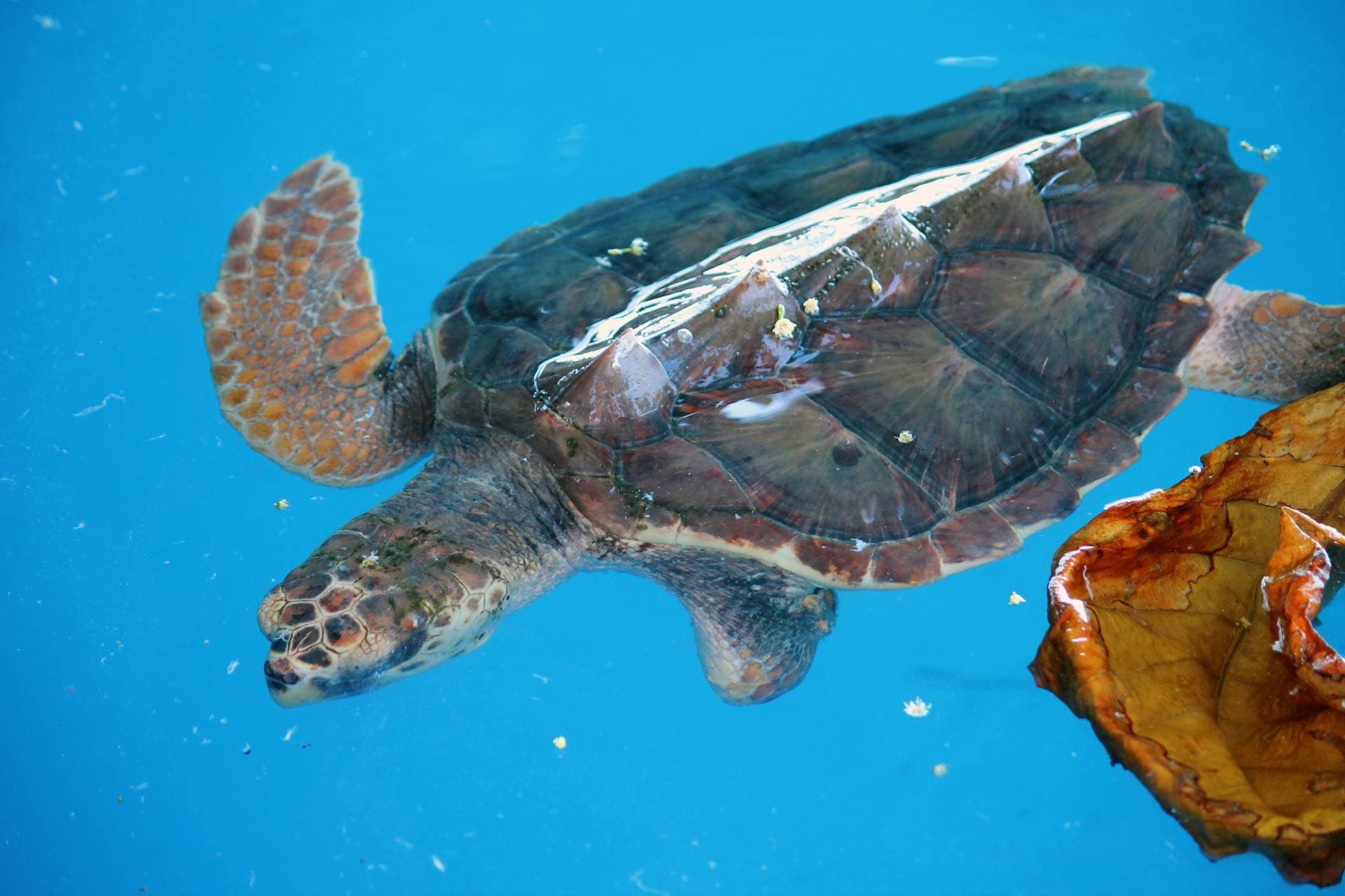 Praia do Forte - Salvador