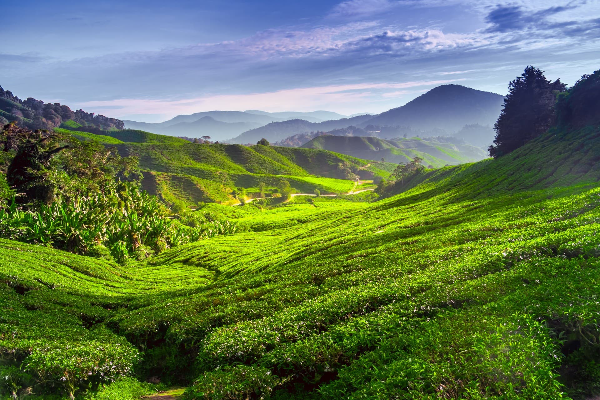 Malaysia's west coast self-drive adventure