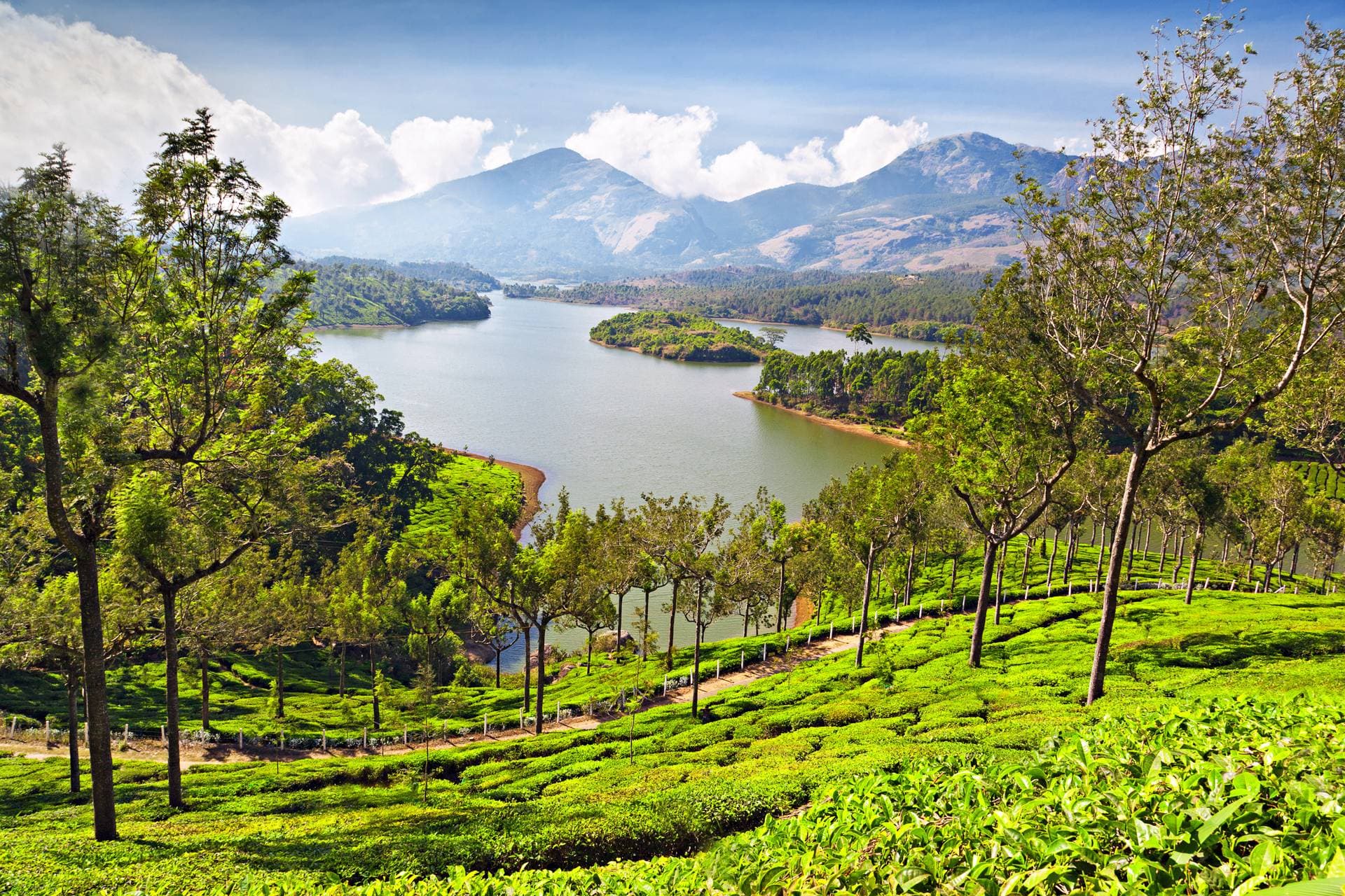 Journey to Kulamavu