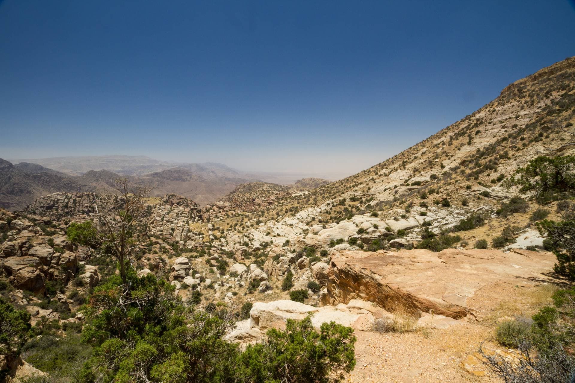 Dana Nature Reserve - Petra