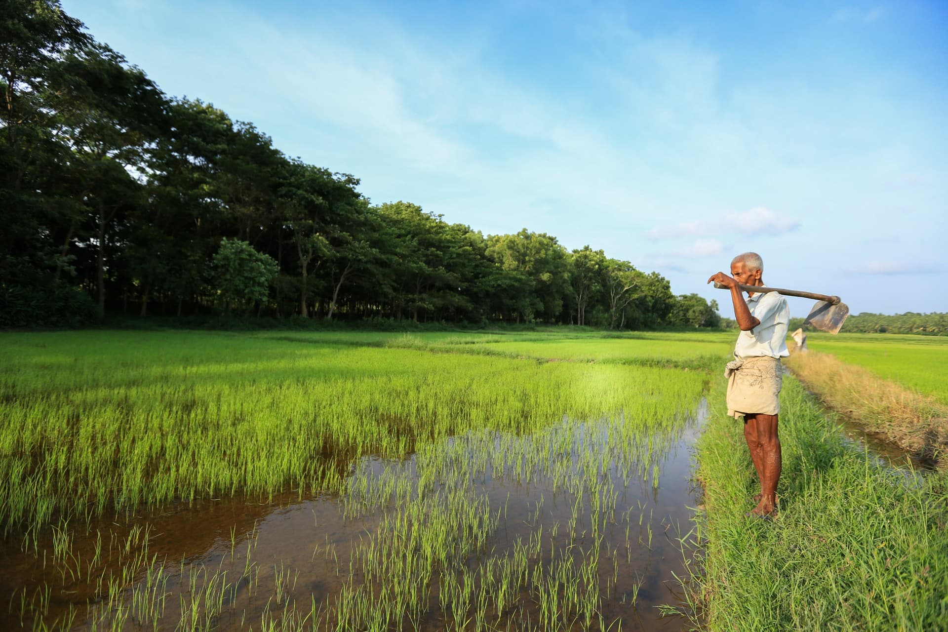 Explore Galle's rural landscape by bike