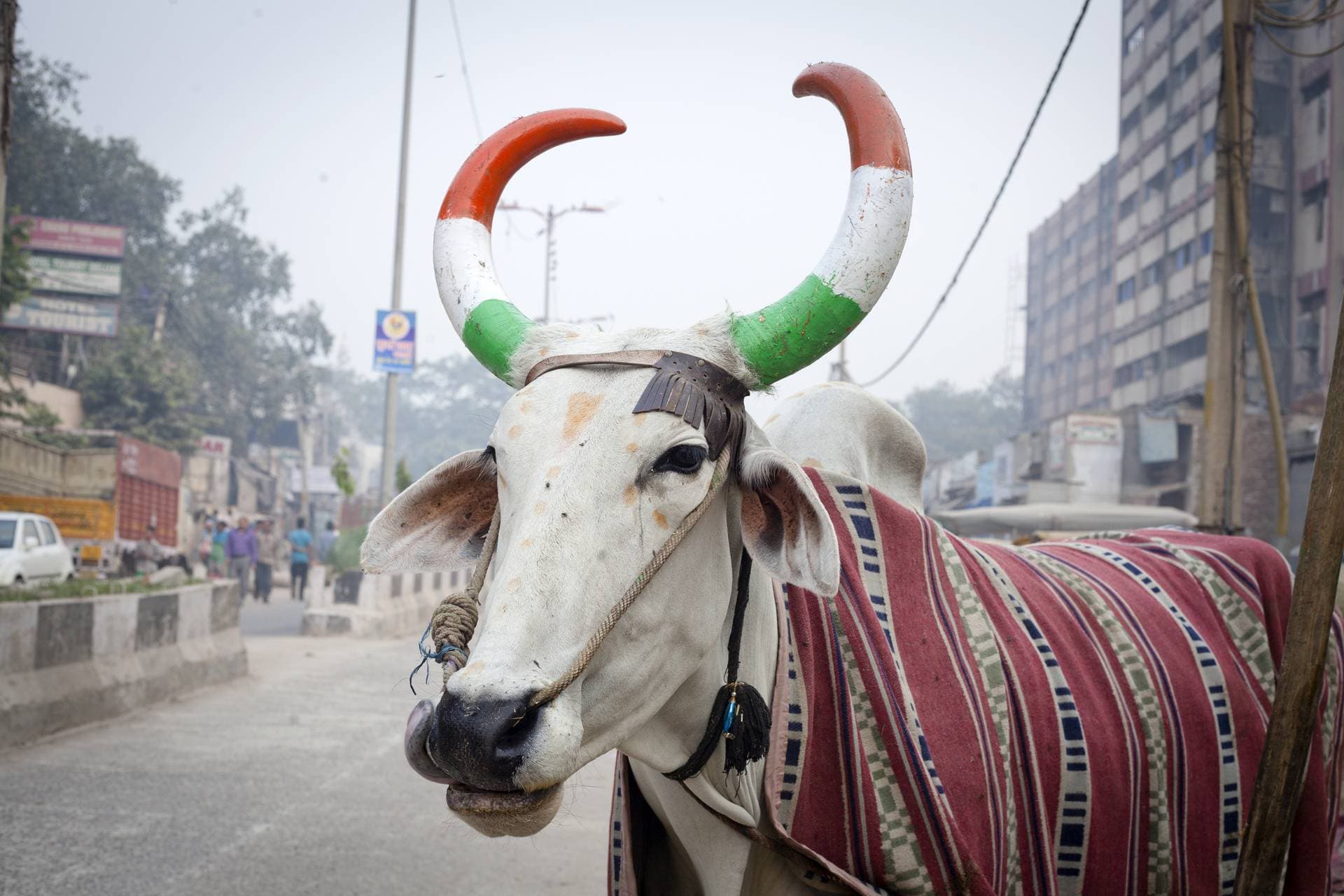 Farewell, India!