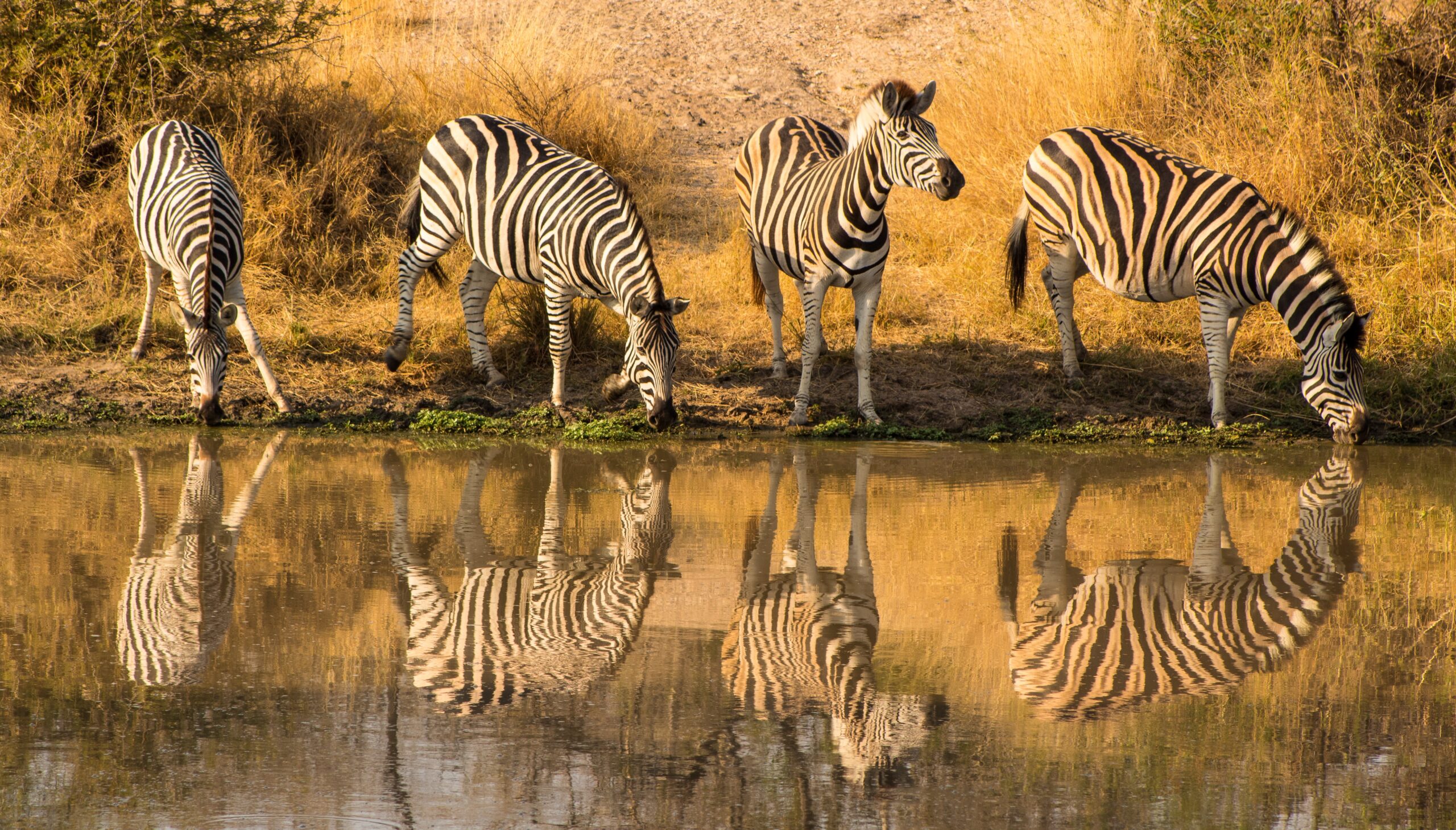 Wir definieren faireres Reisen nach Südafrika