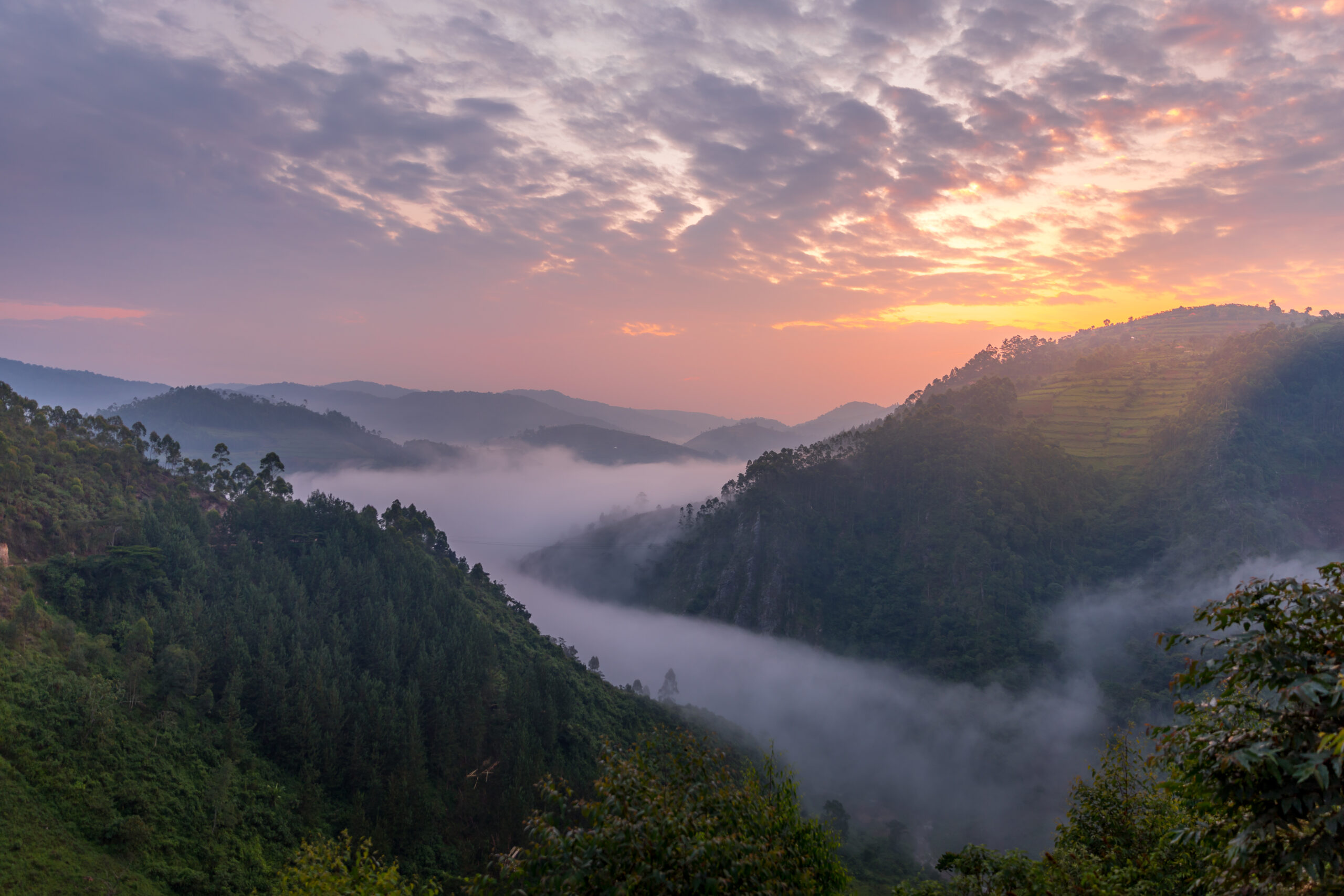 Rwanda