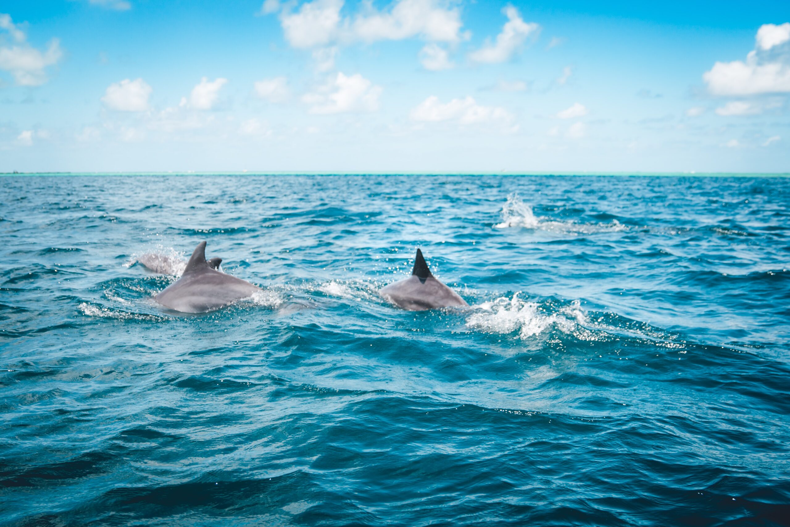 We're reimagining a fairer way to visit Mauritius