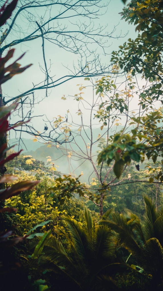 Costa Rica
