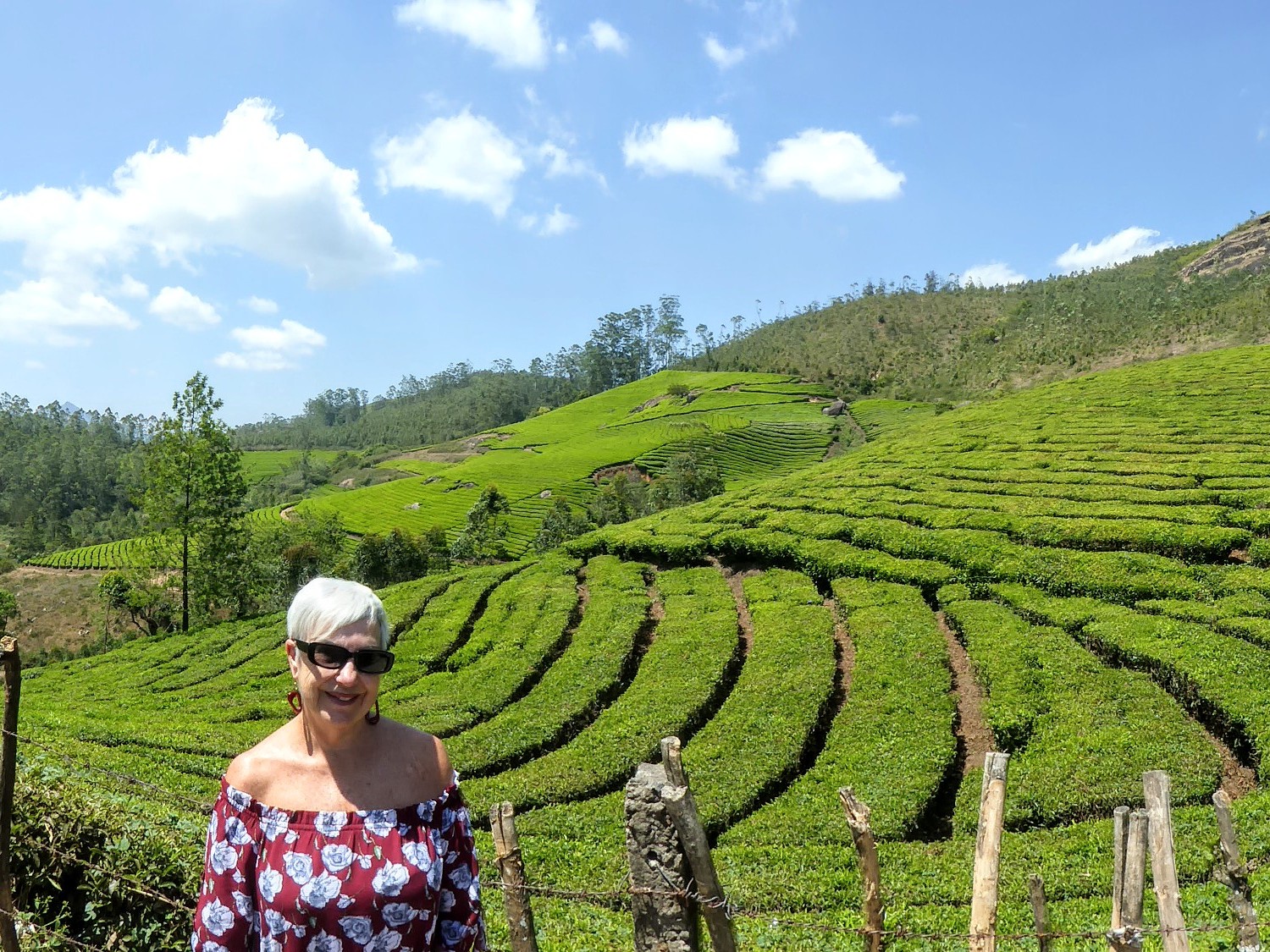 Traveler stories from TravelLocal visitors to India