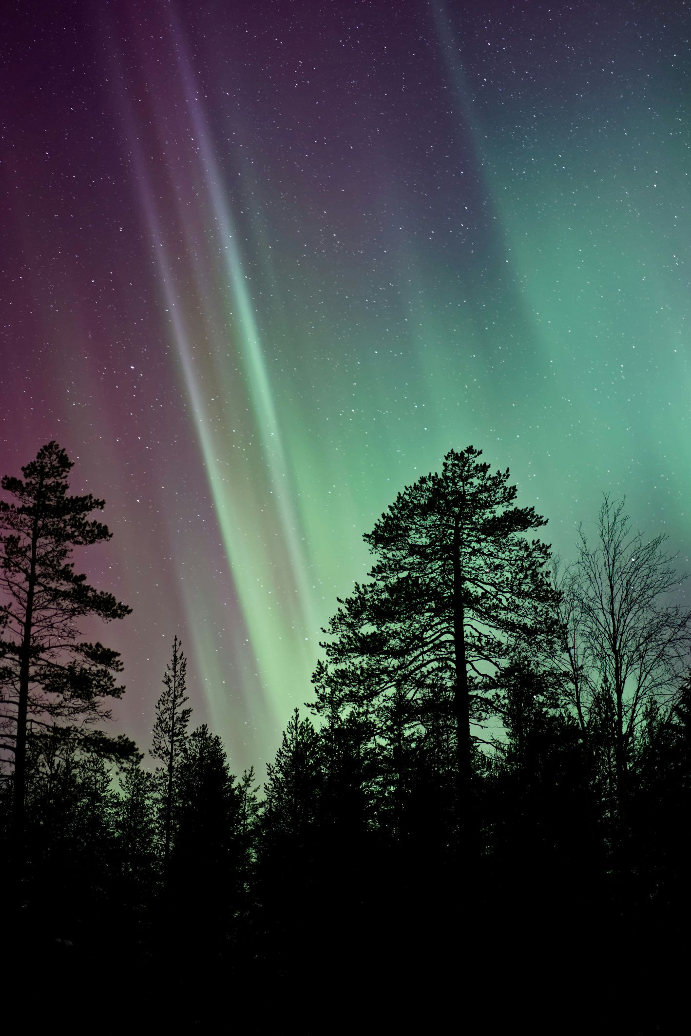 Northern lights in Finland