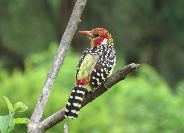 Photo by Joy Mason in Tanzania