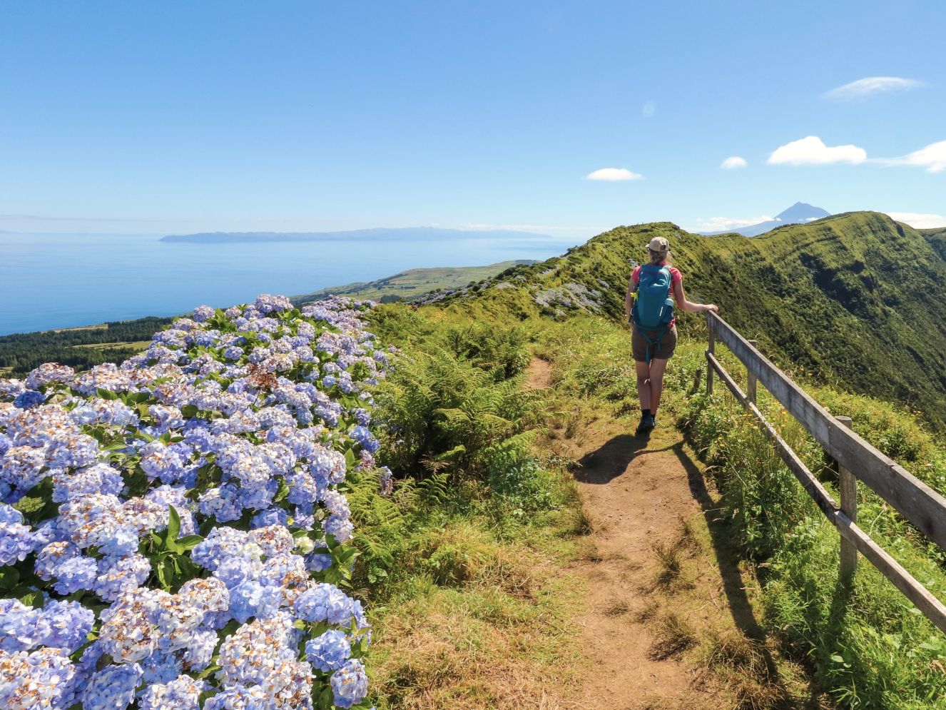 Hiking on Faial island, Azores