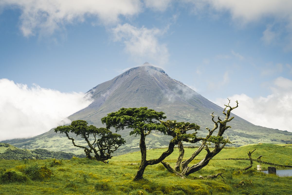 Volcano and trees on Pico island, Azores