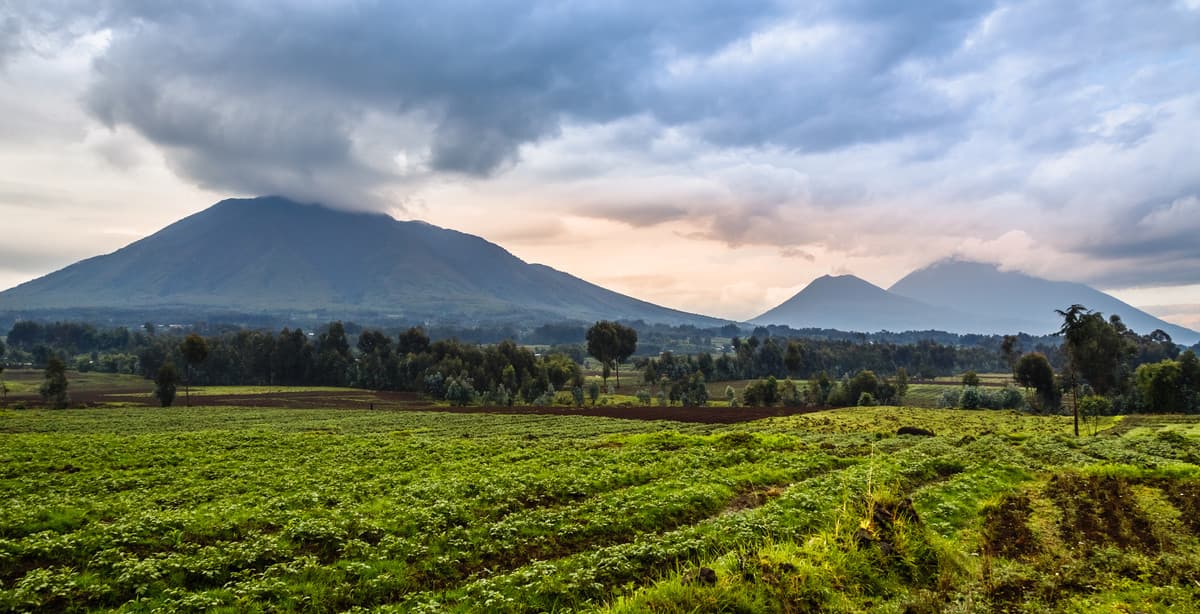 12-day Rwanda & Uganda adventure