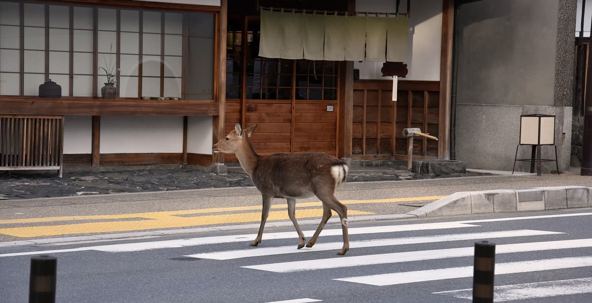 Japans Highlights der Kansai-Region