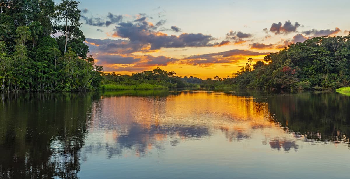 Colombian nature: following Alexander von Humboldt's footsteps