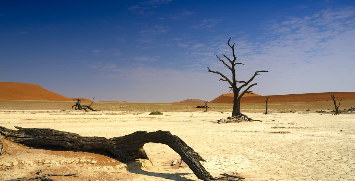 8-Day Namibia Adventure