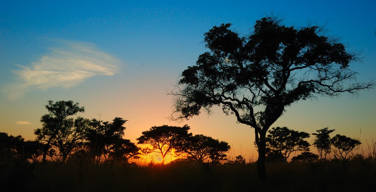 Self-drive discovery of South Africa