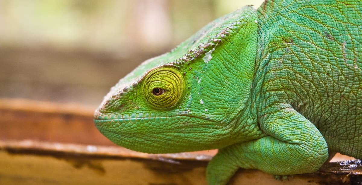7 Parks von Madagaskar