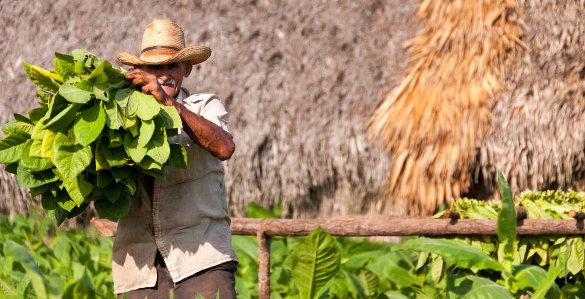 Private 10-day culinary journey through Cuba
