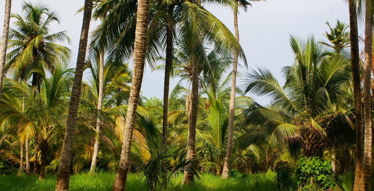 Colombia for families: from Bogota to Mucura Island beaches