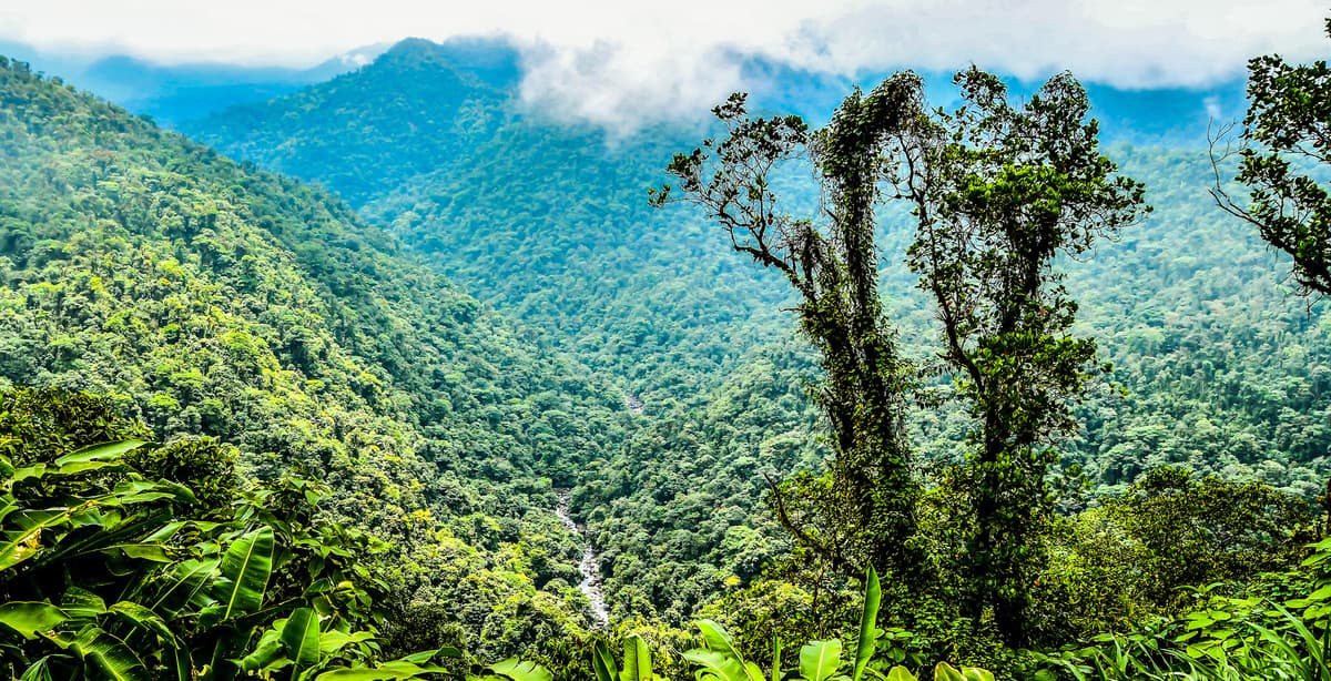 Wonders of the Braulio Carrillo rainforest