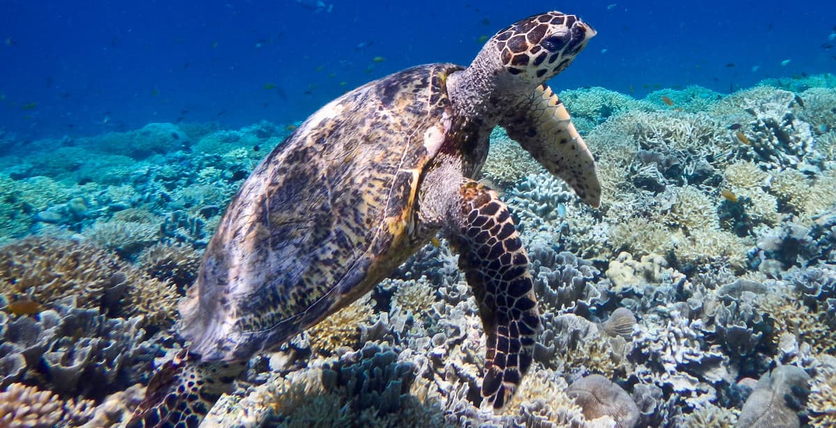 Familienrundreise durch Bali und Lombok