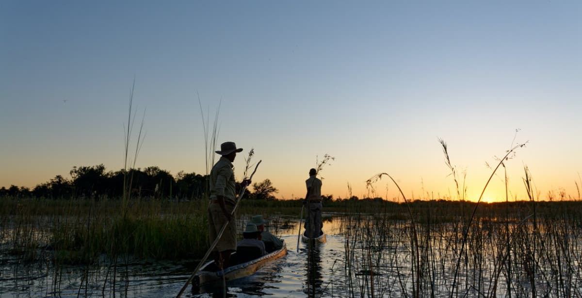 Honeymoon safari in Botswana