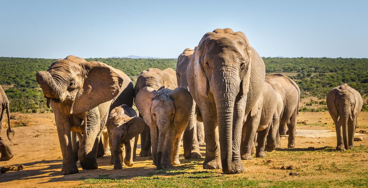 South Africa 20-day motorhome self-drive trip