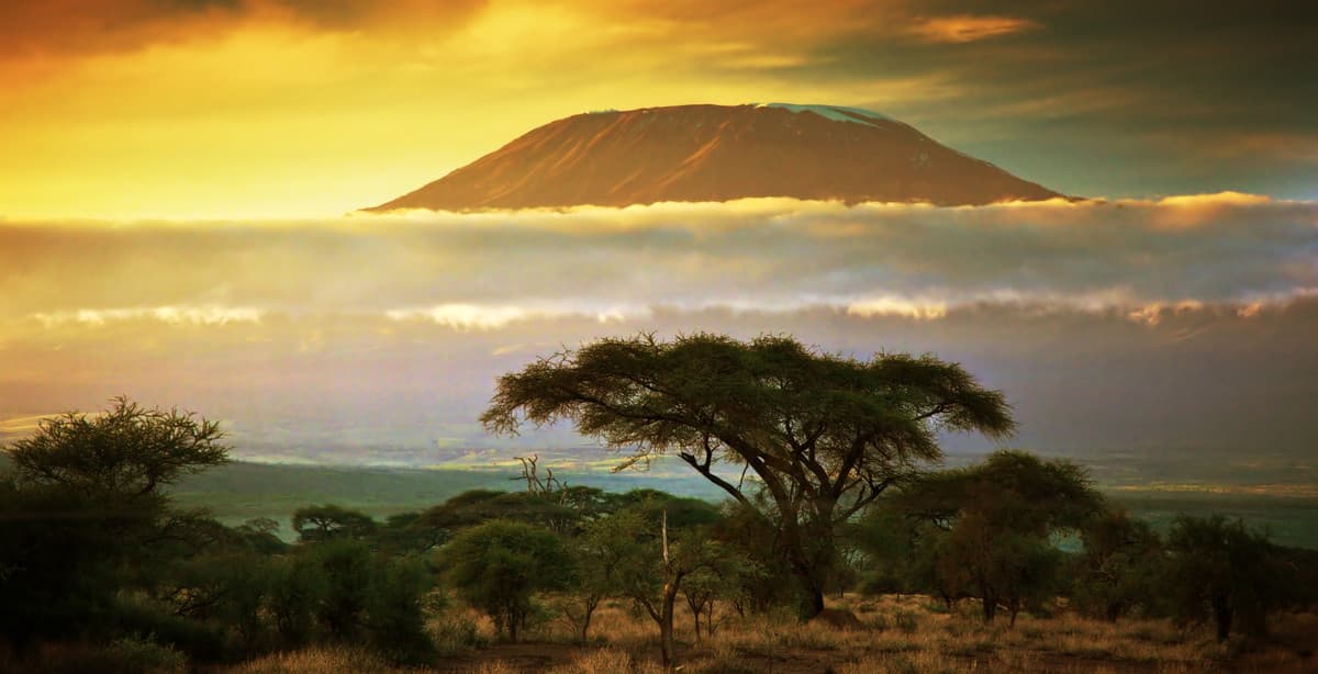 Abseits der ausgetretenen Pfade: Kenia-Safari