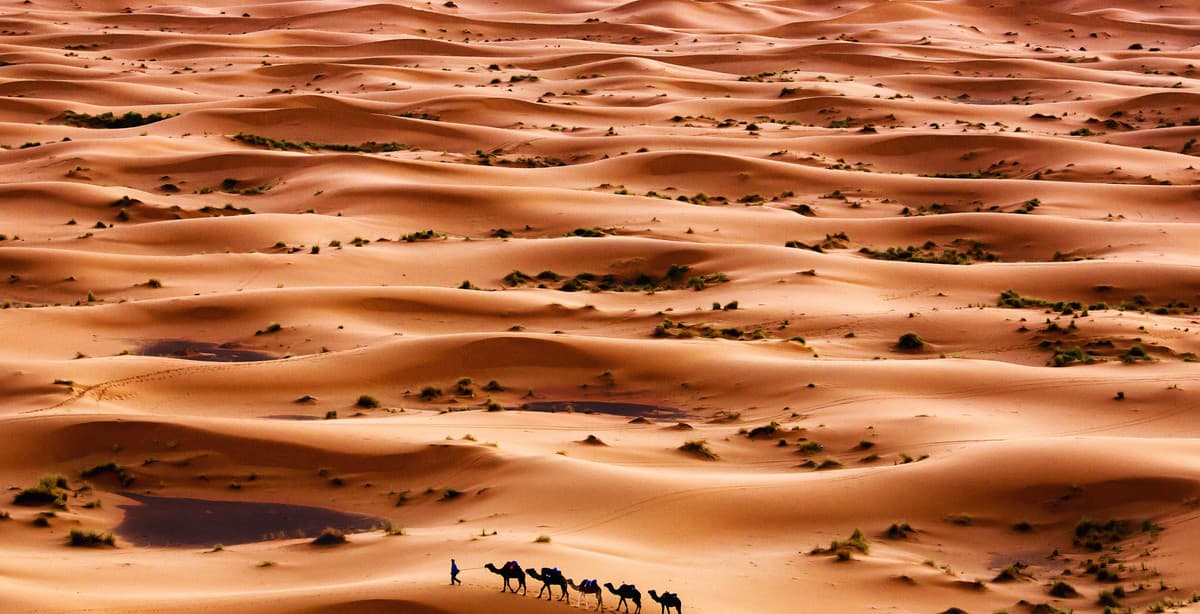8-day Morocco trip: Sahara Desert expedition