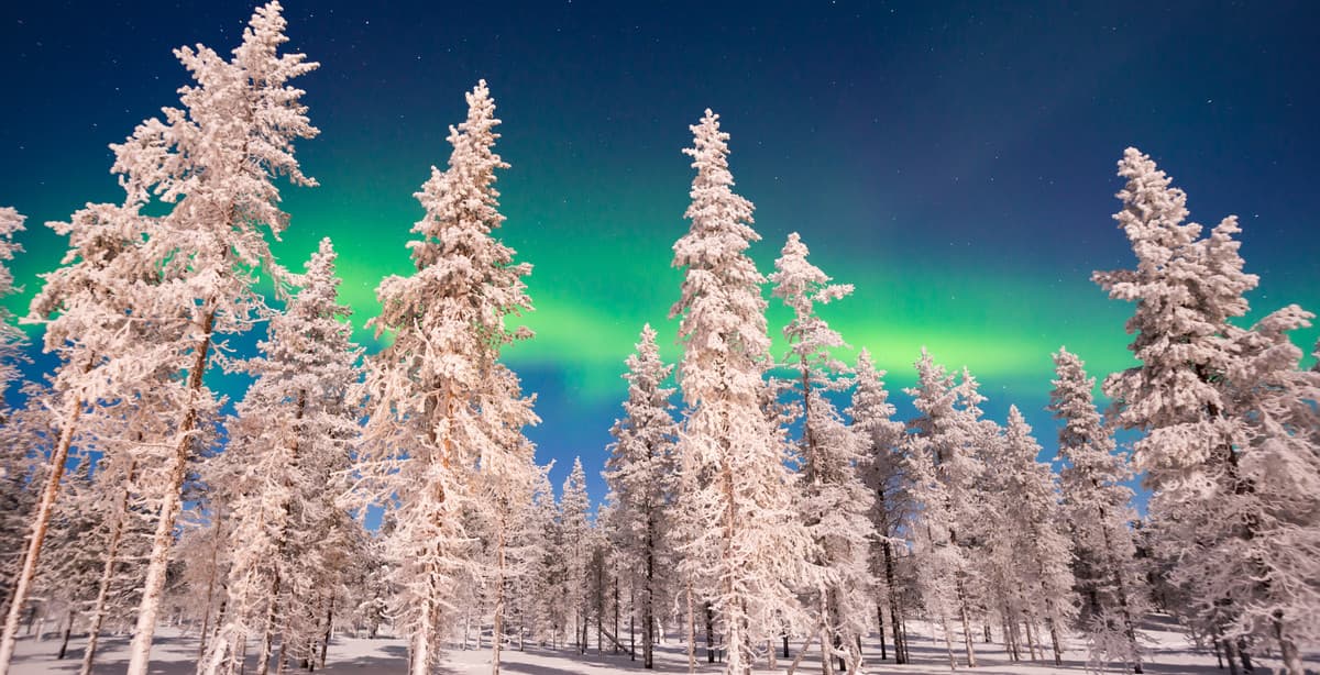 Helsinki highlights & Arctic Circle adventure