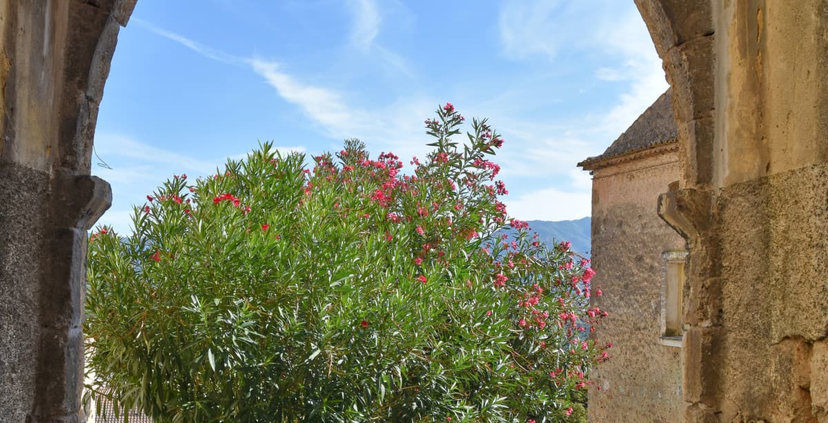 History, nature & tradition in the Comino Valley