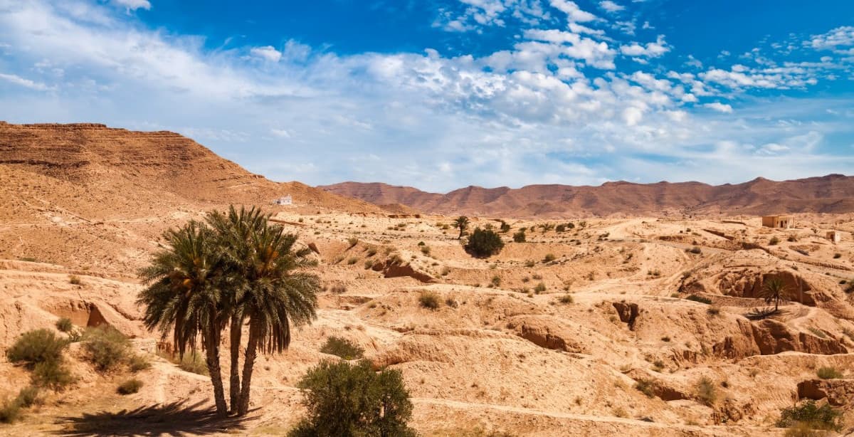 The best of Tunisia: from Sahara to sea