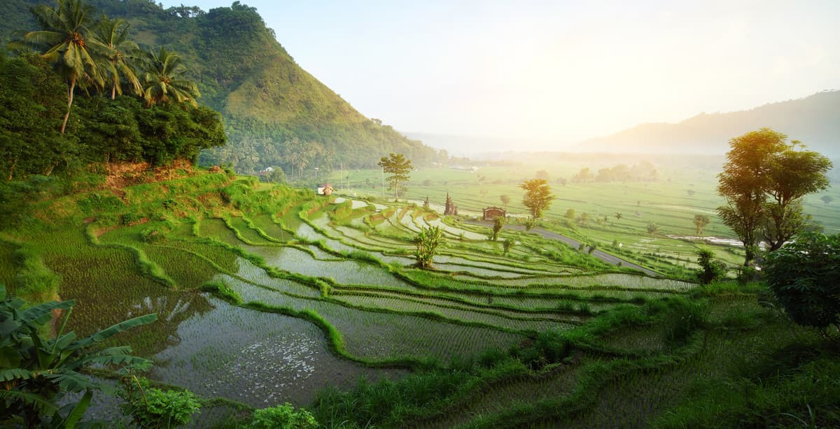 Discover the highlights of the island Bali