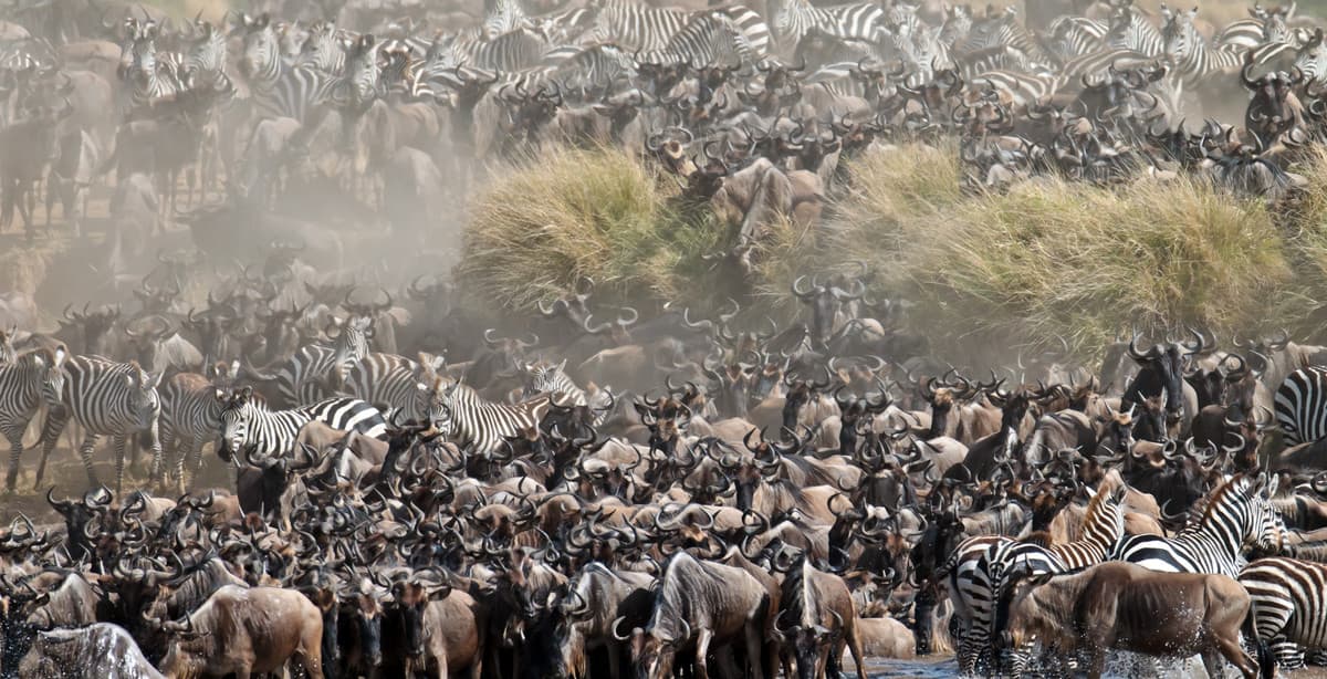 7-Day Safari in Kenya