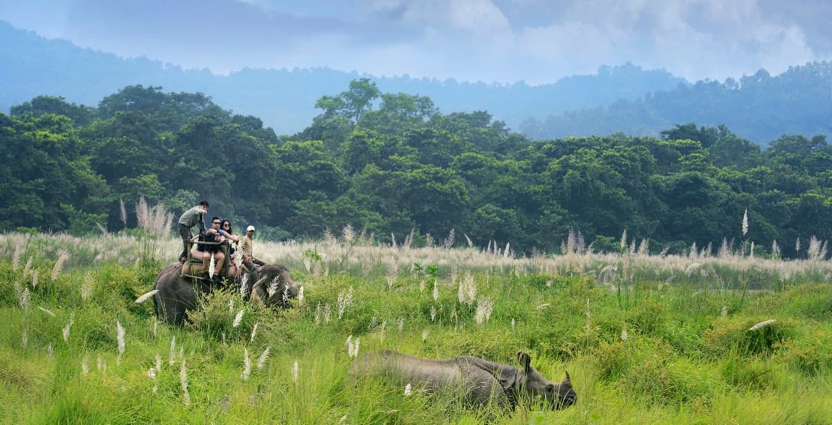 6-day wildlife photography tour in Chitwan