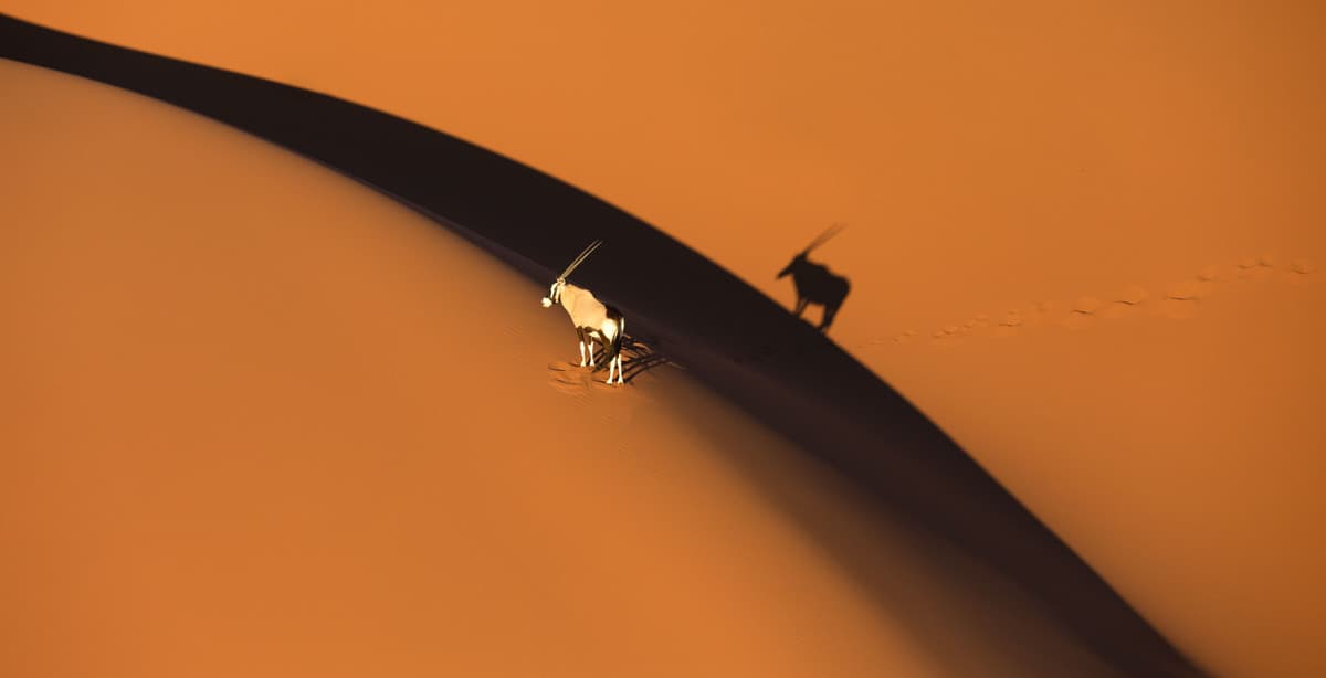 7-day private fly-in Namibia safari