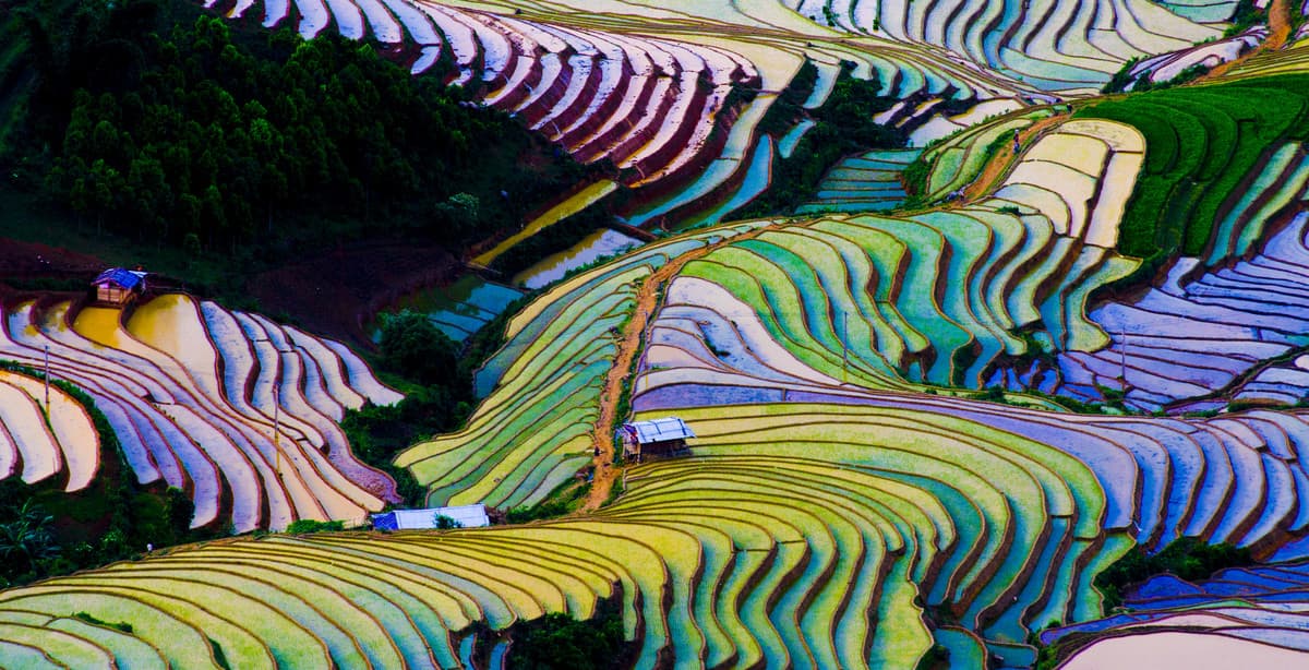 Explore authentic Vietnam in 11 days