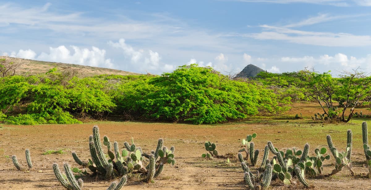 Kolumbien: Entdecken Sie La Guajira