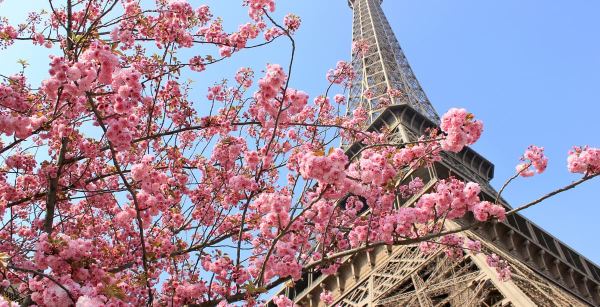 4-day Sparkling Sojourn in Paris